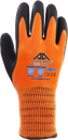 Active ICE I1110