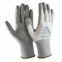 main